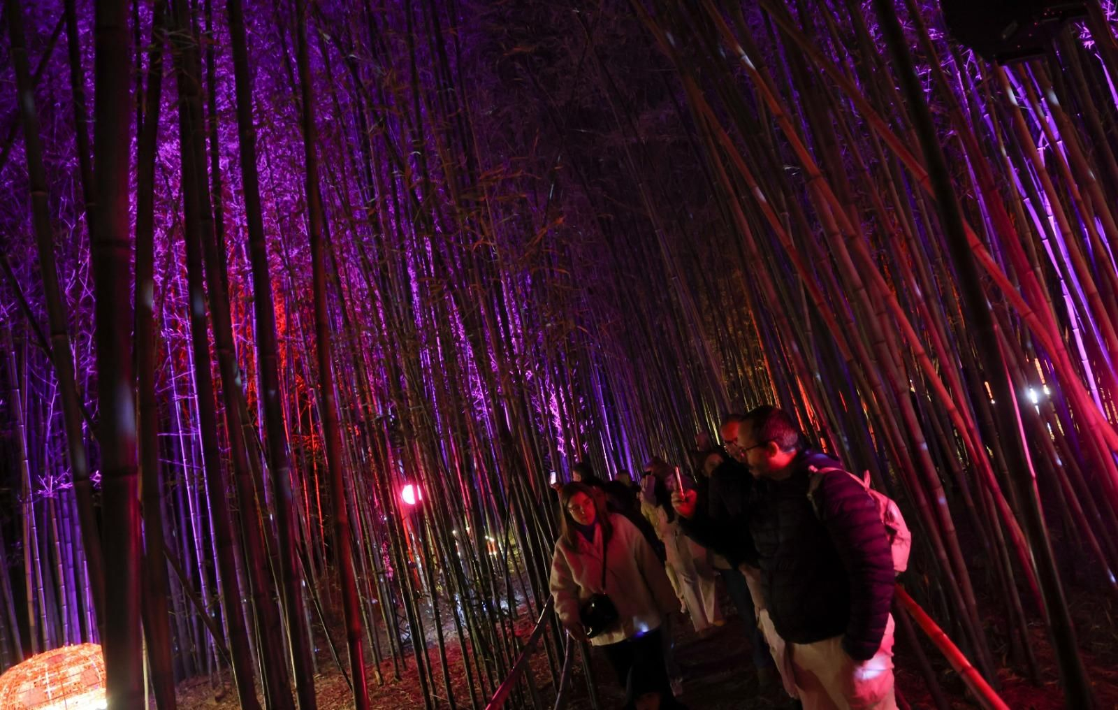 El espectaculo 'La Navidad en el Jardín de las Maravillas¡ en el Jardín Botánico, en imágenes