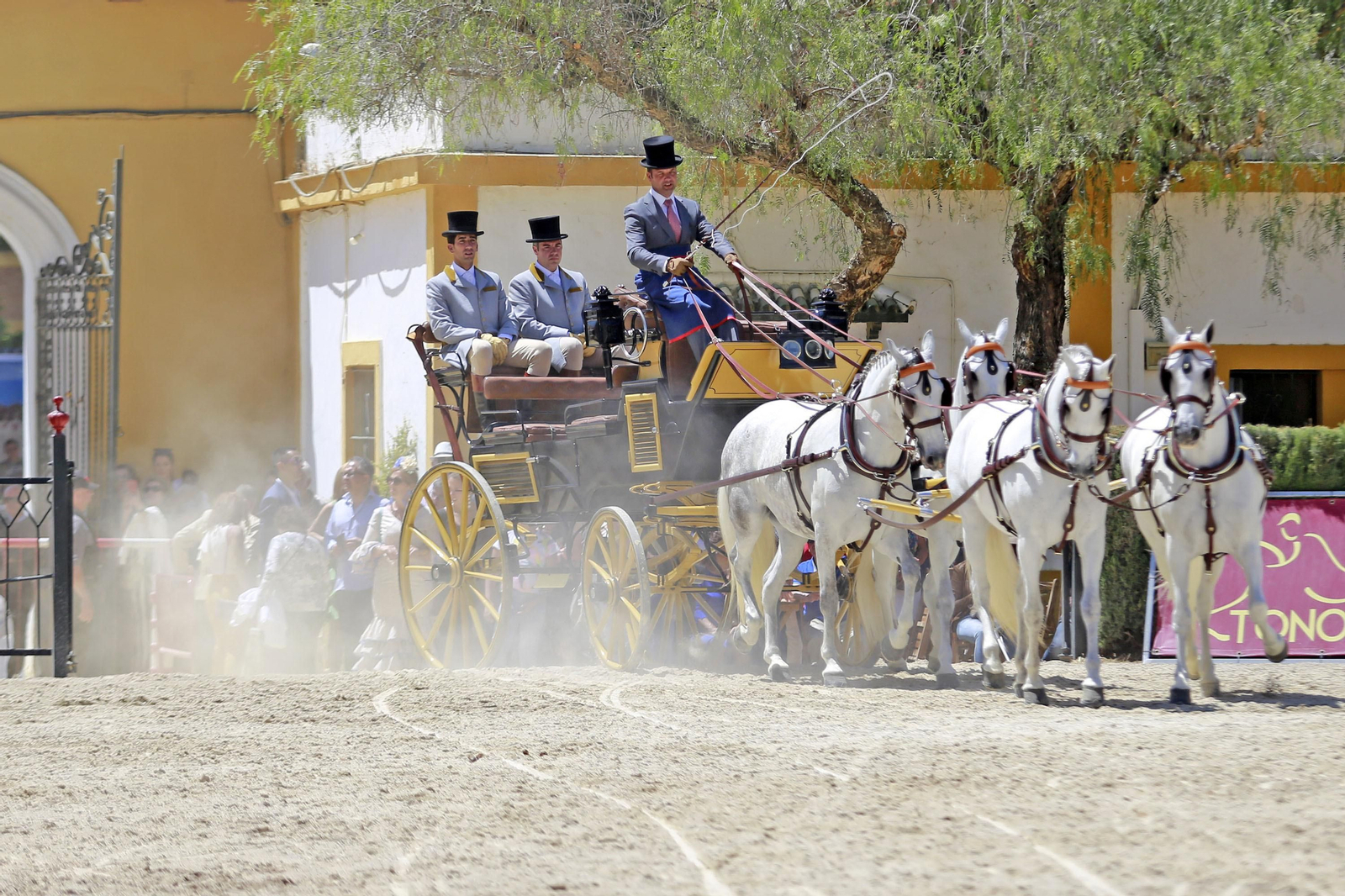 Trofeos de los concursos de Enganches y Morfológicos en la Feria de Jerez