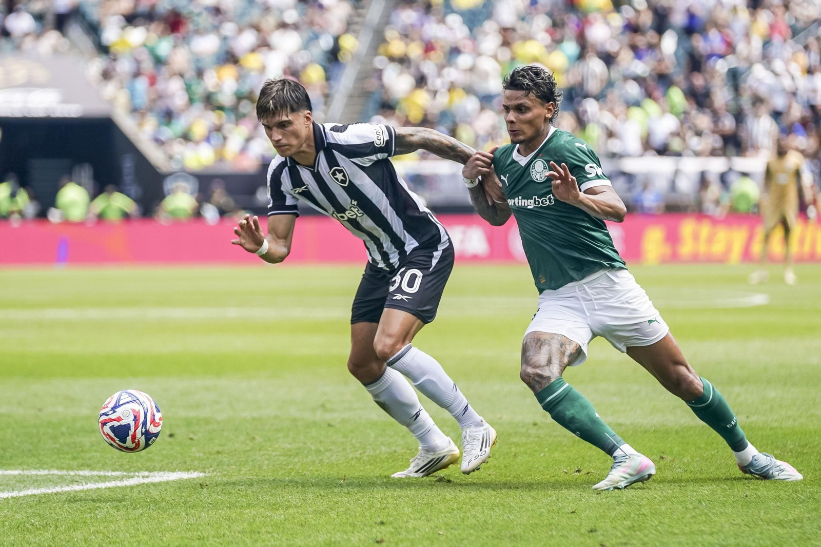 Palmeiras-Botafogo (34).jpg