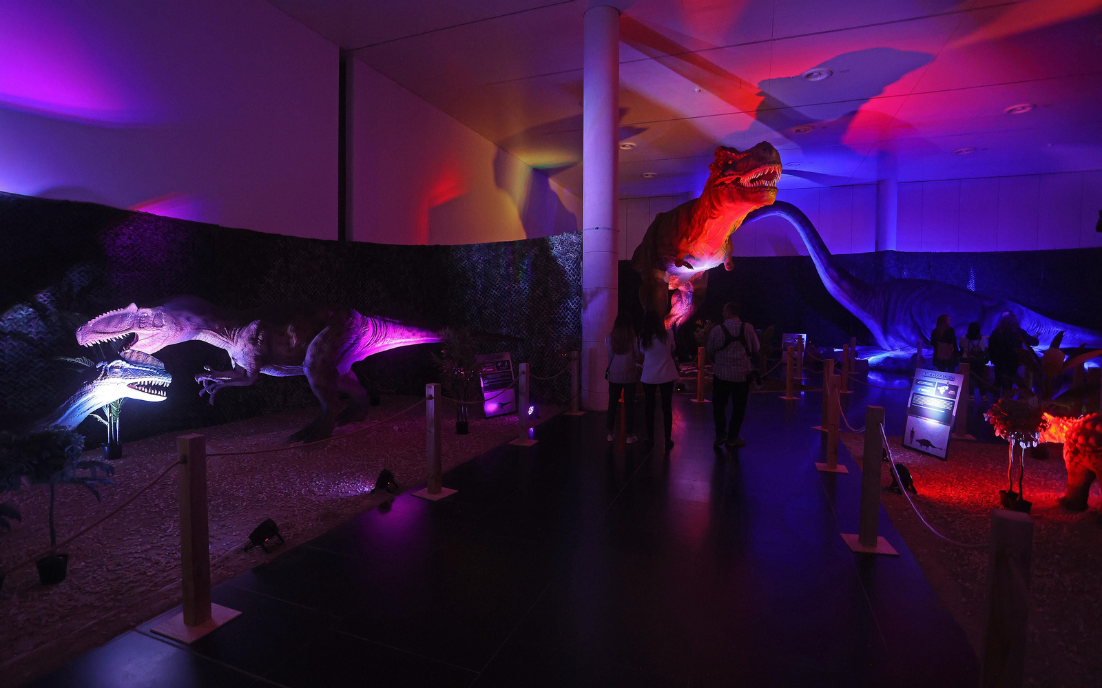 Exposición DINOSAURS LIVE