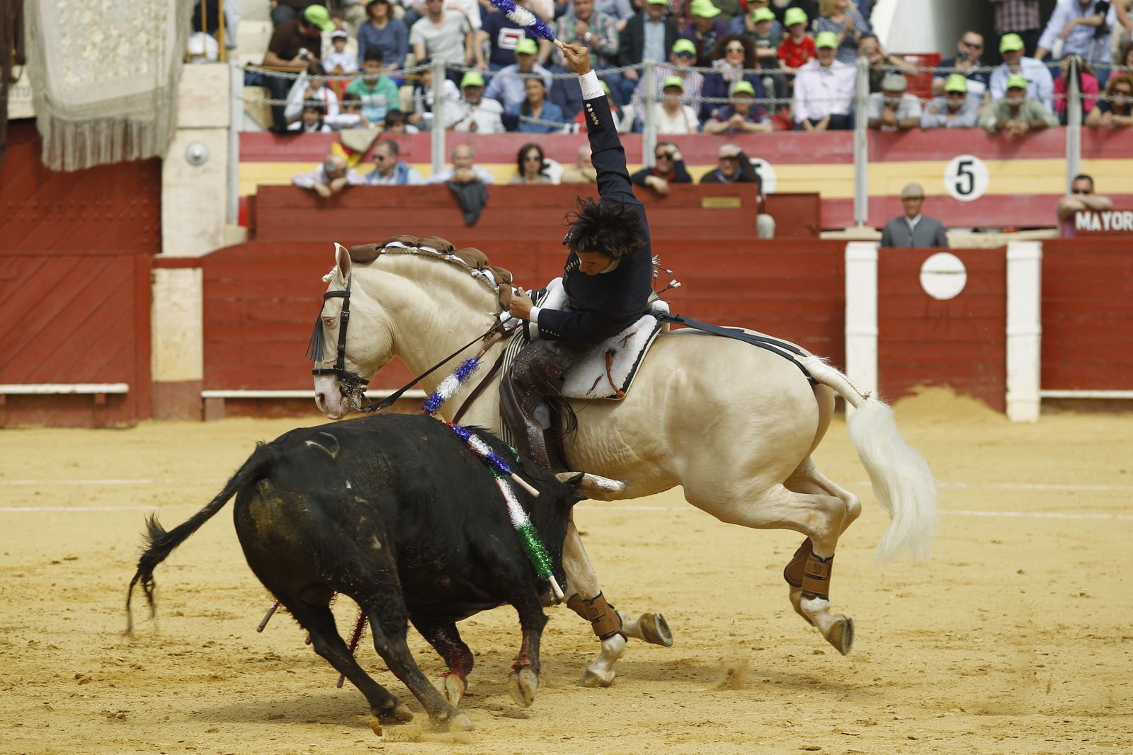 Ventura pone las banderillas cortas con Remate.