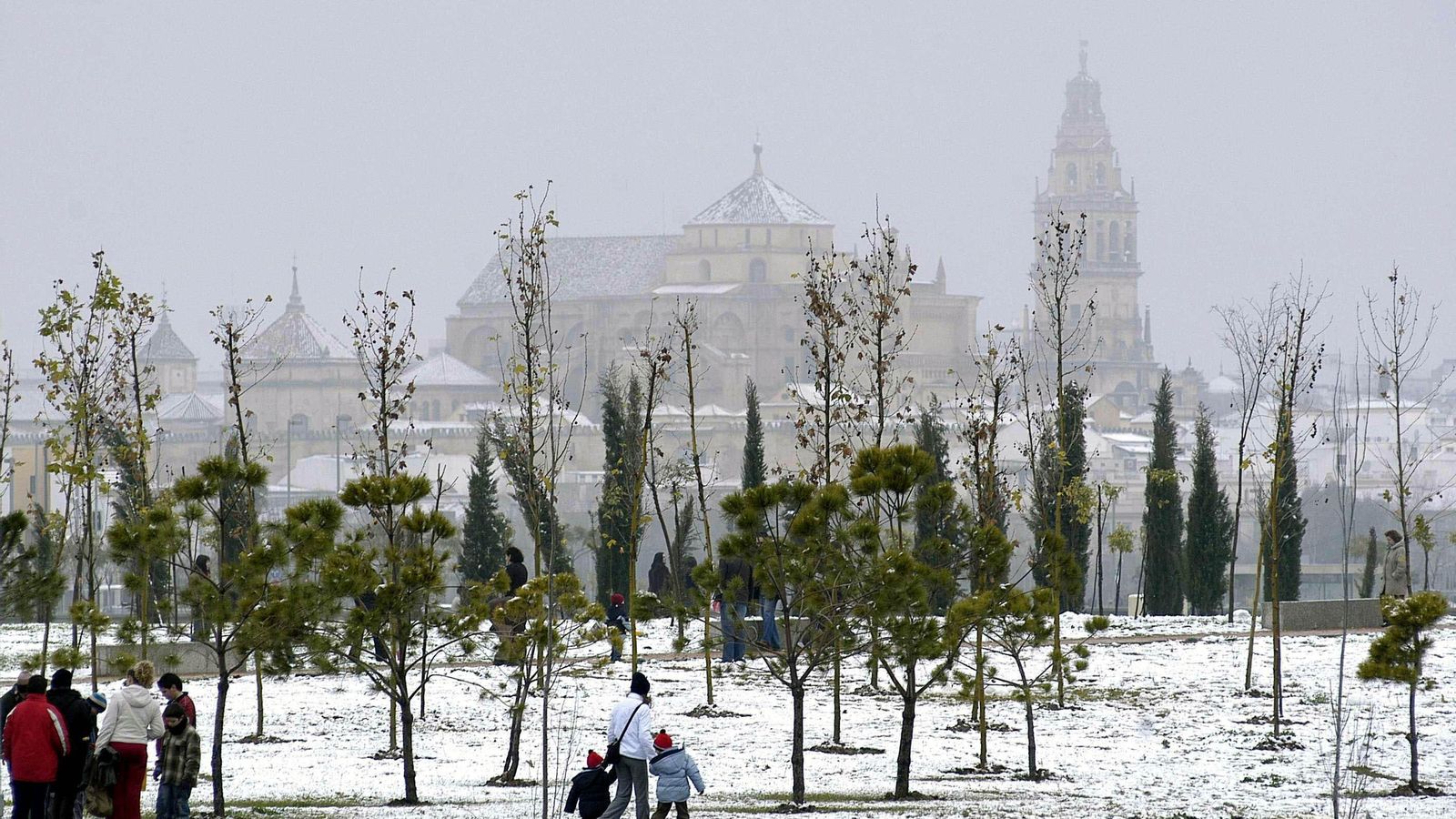Nevada de enero del año 2006.