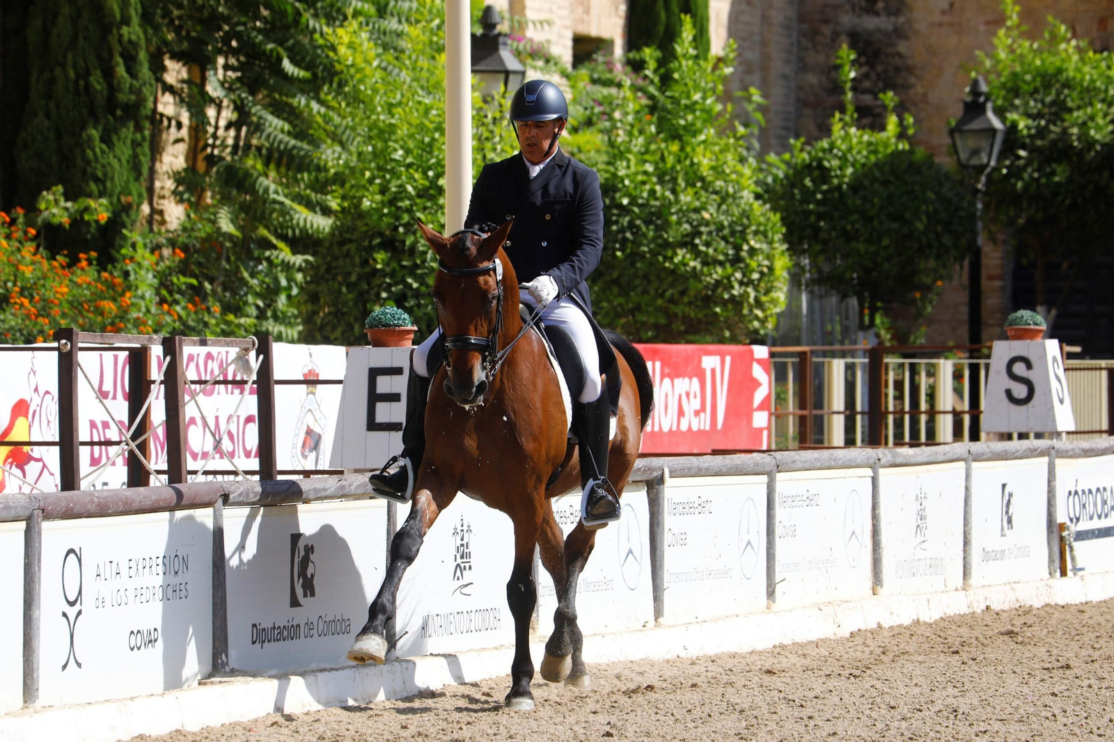 El concurso nacional de Doma Clásica en las Caballerizas Reales de Córdoba