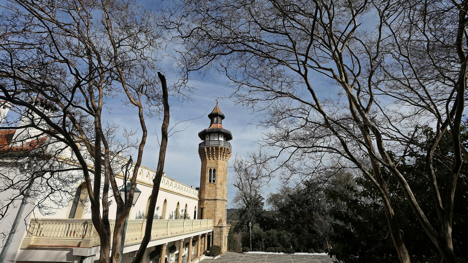 Las mejores fotos de la finca La Almoraima