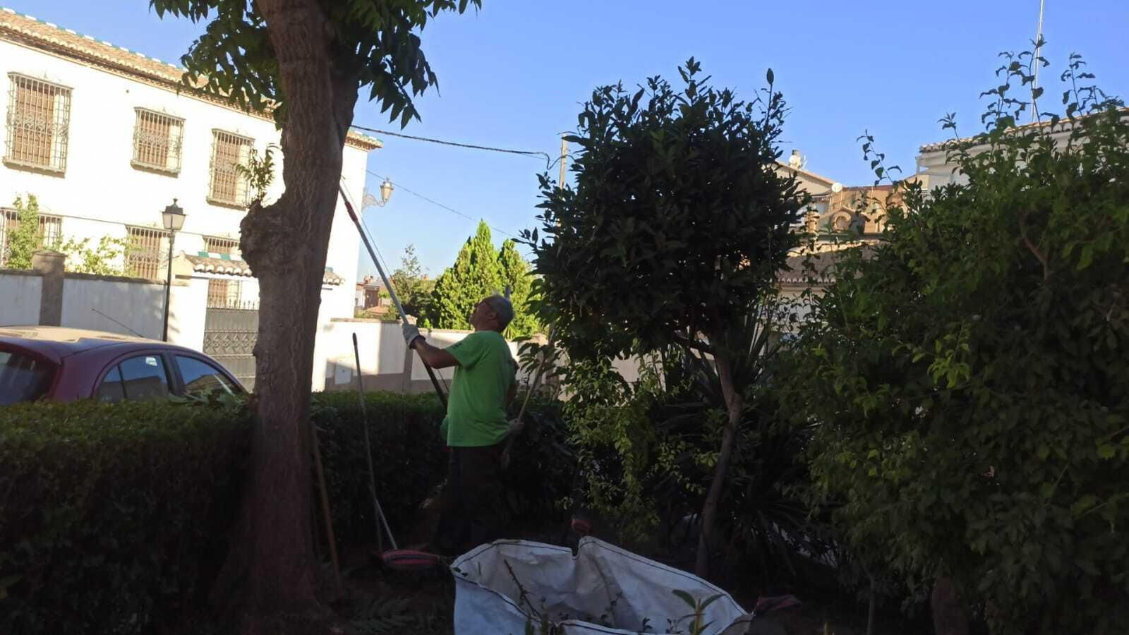 Imagen del programa municipal de empleo y formación de jardinería