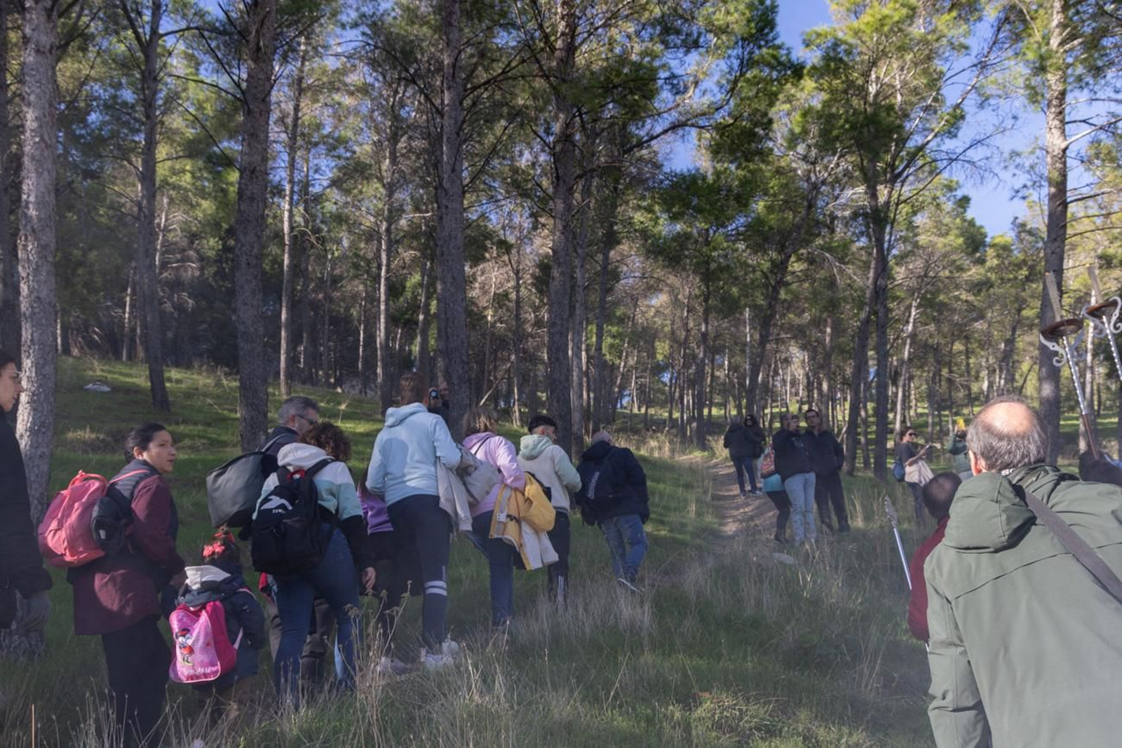 Romería de Santa Catalina