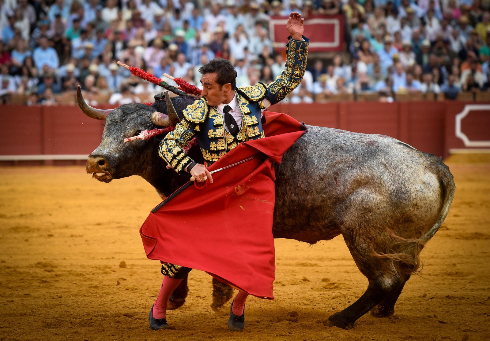 Las imágenes de la corrida de toros de El Fandi, Manuel Escribano y Esaú Fernández