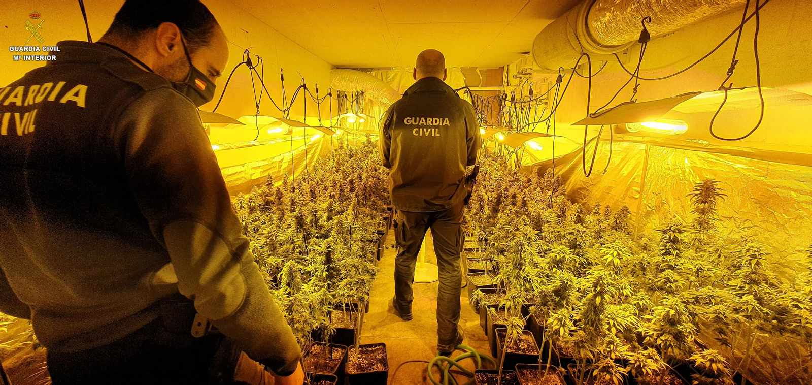 Dos agentes de la Guardia Civil en la plantación de marihuana desmantelada.