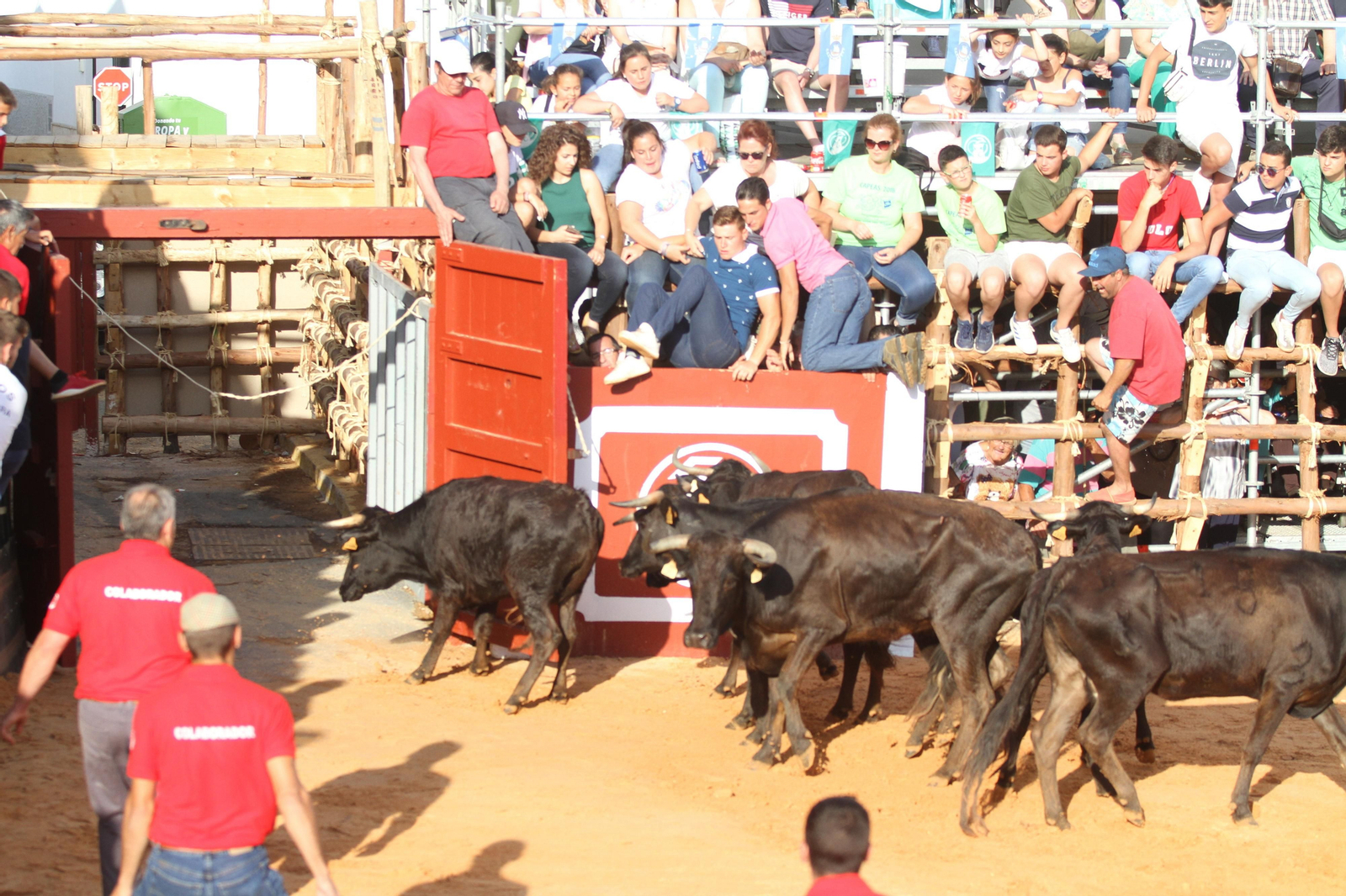 Comienzan las capeas en San Juan del Puerto
