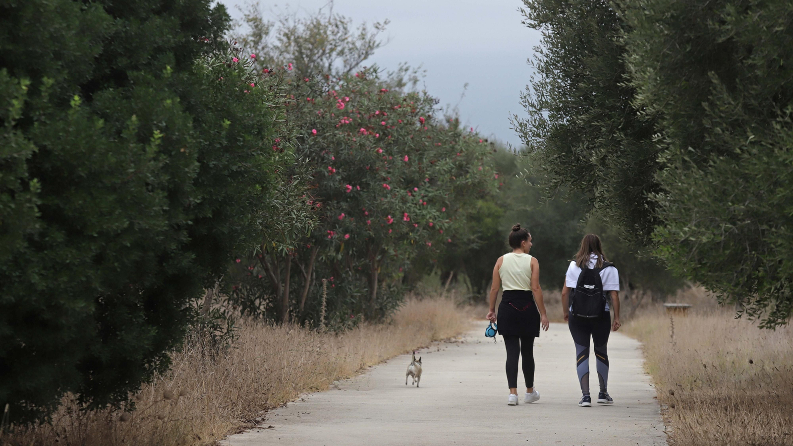 Fotos del parque del Torrejón en Algeciras