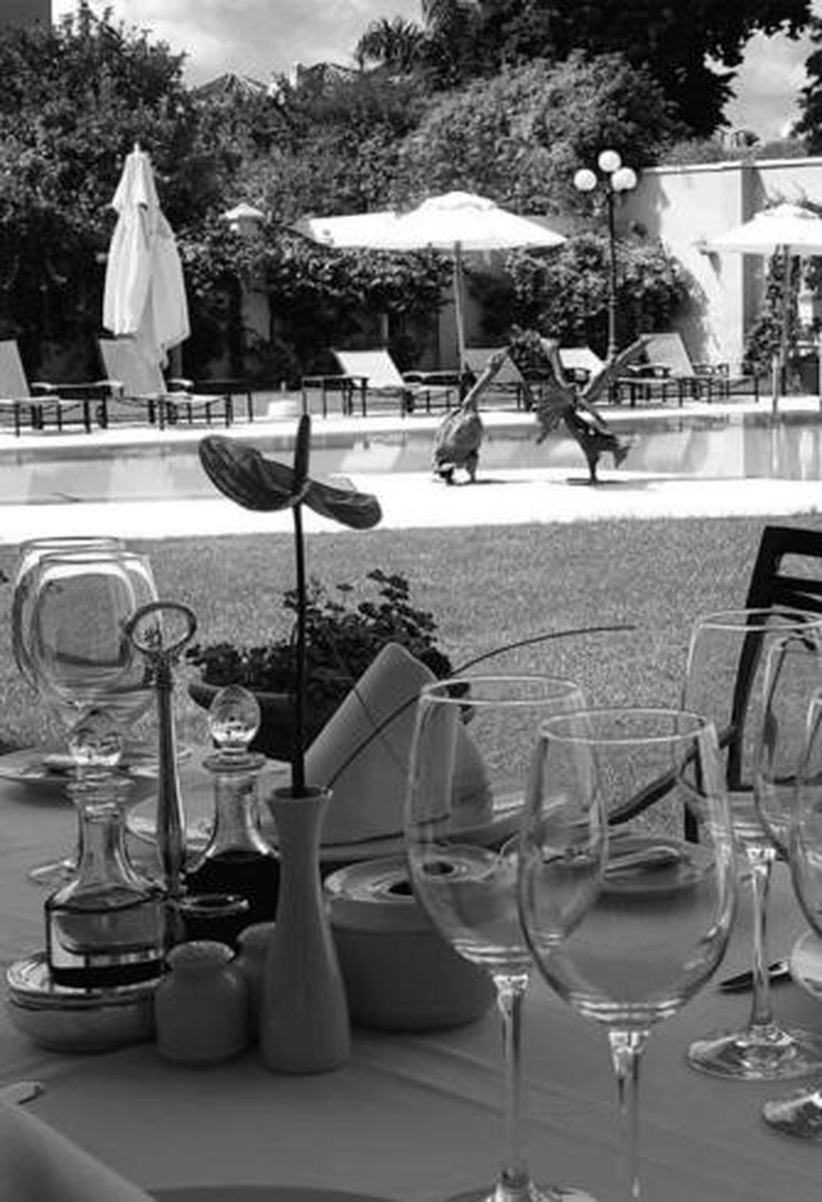 Los discapacitados podrán consultar en la guía la clasificación en accesibilidad que tienen los hoteles.