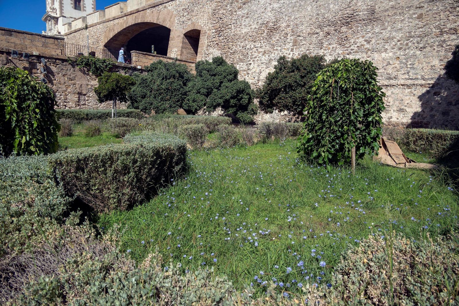 El estado de los jardines de la muralla de Cádiz
