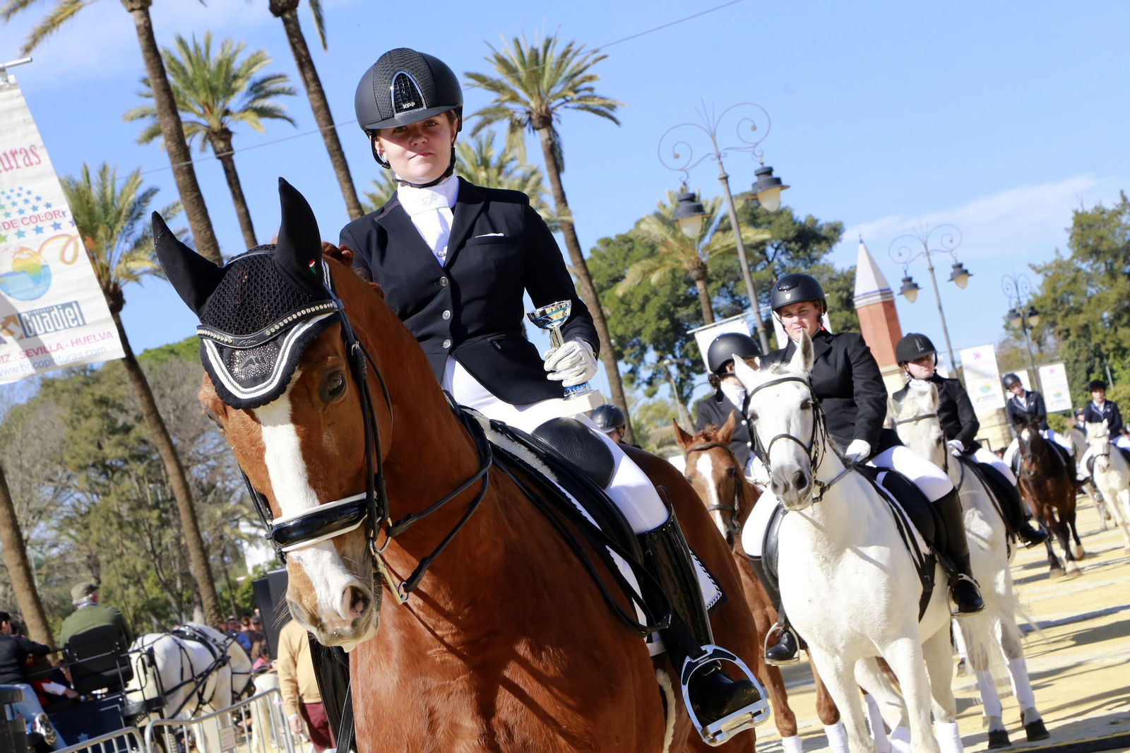 Imágenes de San Antón 2020 en Jerez