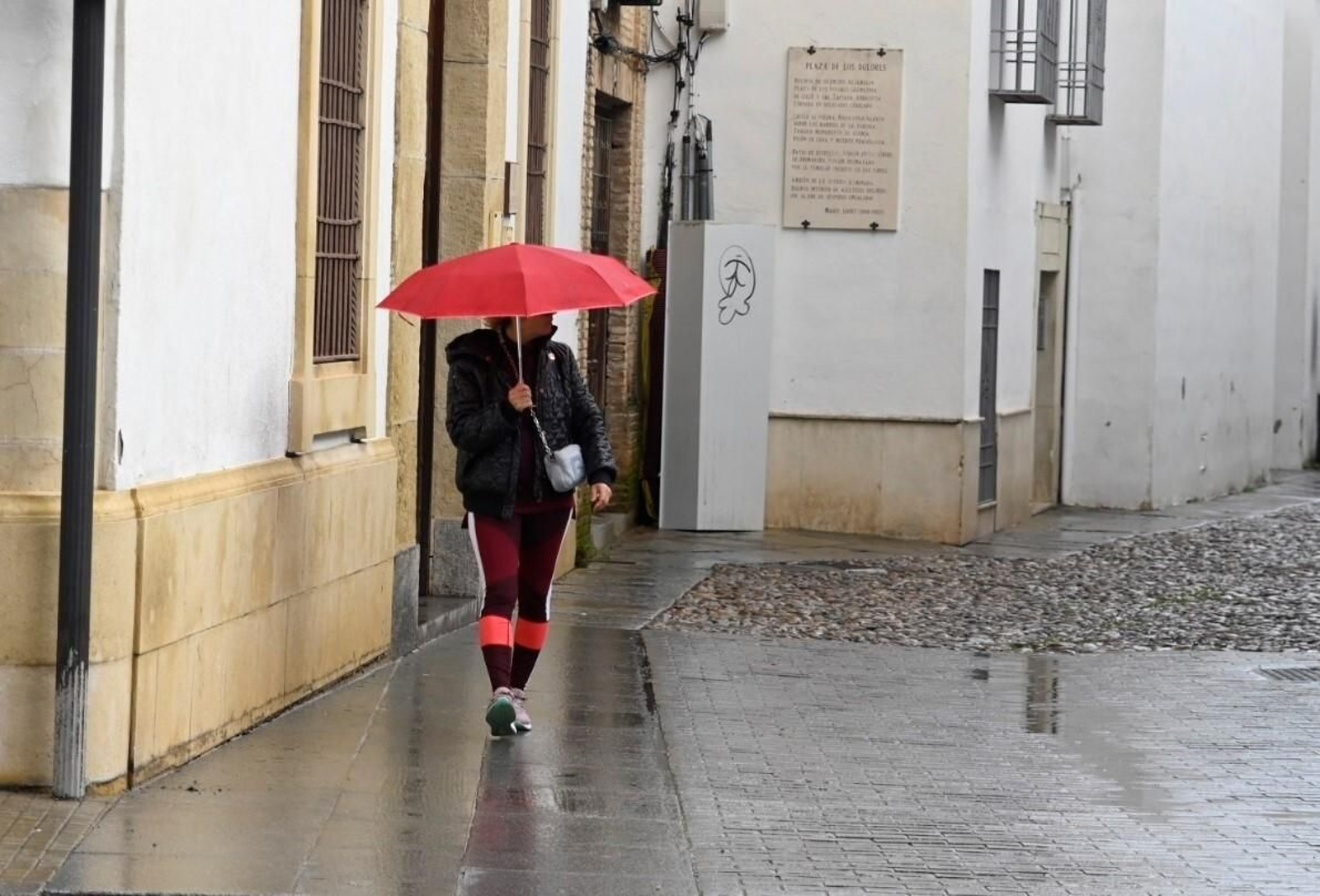 El temporal de viento y lluvia en Córdoba, en imágenes