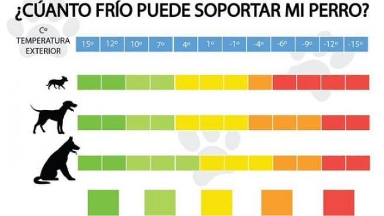 Cuánto frío puede soportar un perro según su tamaño y su raza Cuánto frío puede soportar un perro según su tamaño y su raza