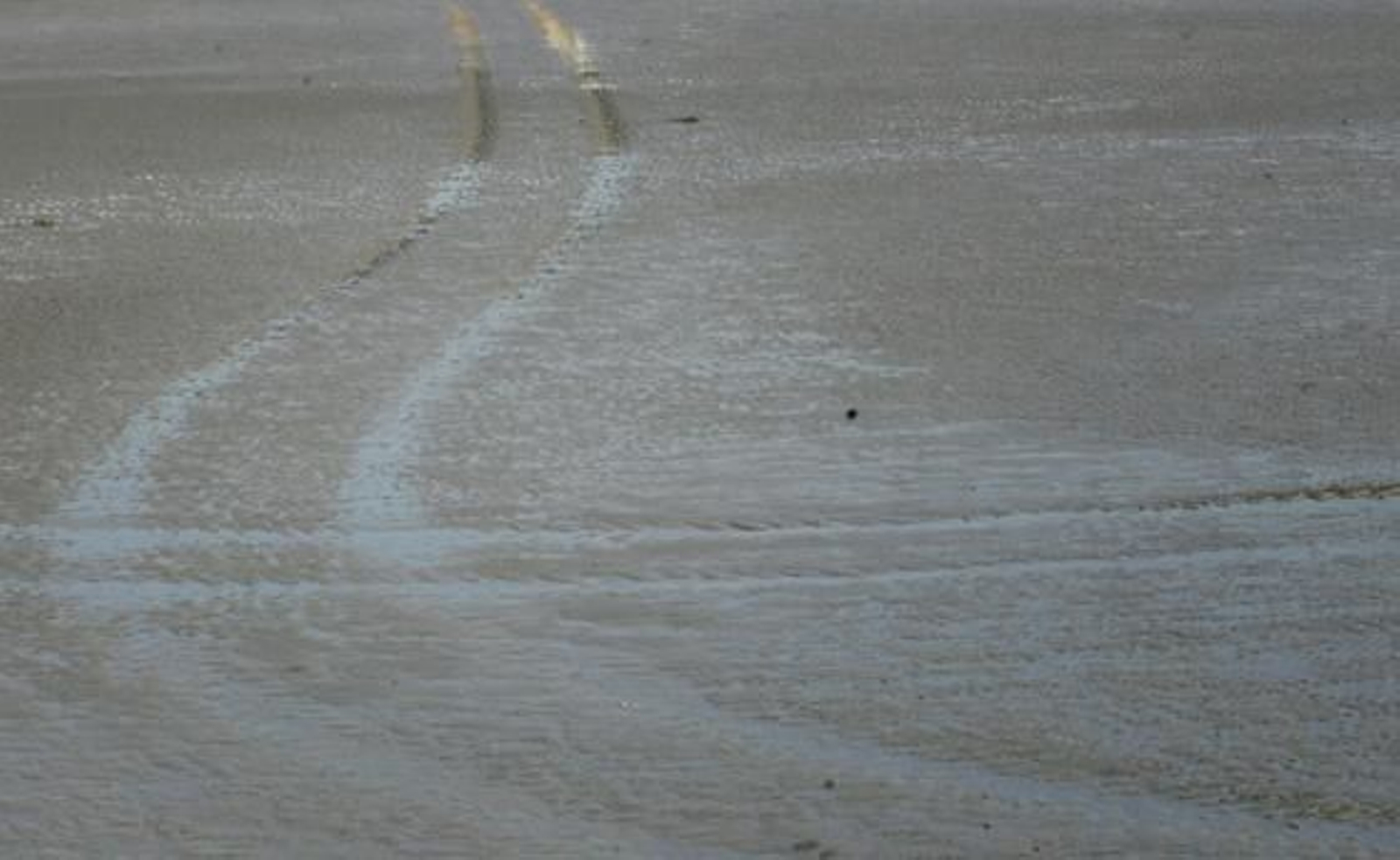 La marea histórica se vivió en las playas del Campo de Gibraltar con mucha espectación, sobre todo en la de Poniente de La Línea y El Rinconcillo de Algeciras./Fotos:Paco Guerrero/Shus Terán/J.M.Quiñones

Foto: Paco Guerrero/J.M.Q./Shus Teran/