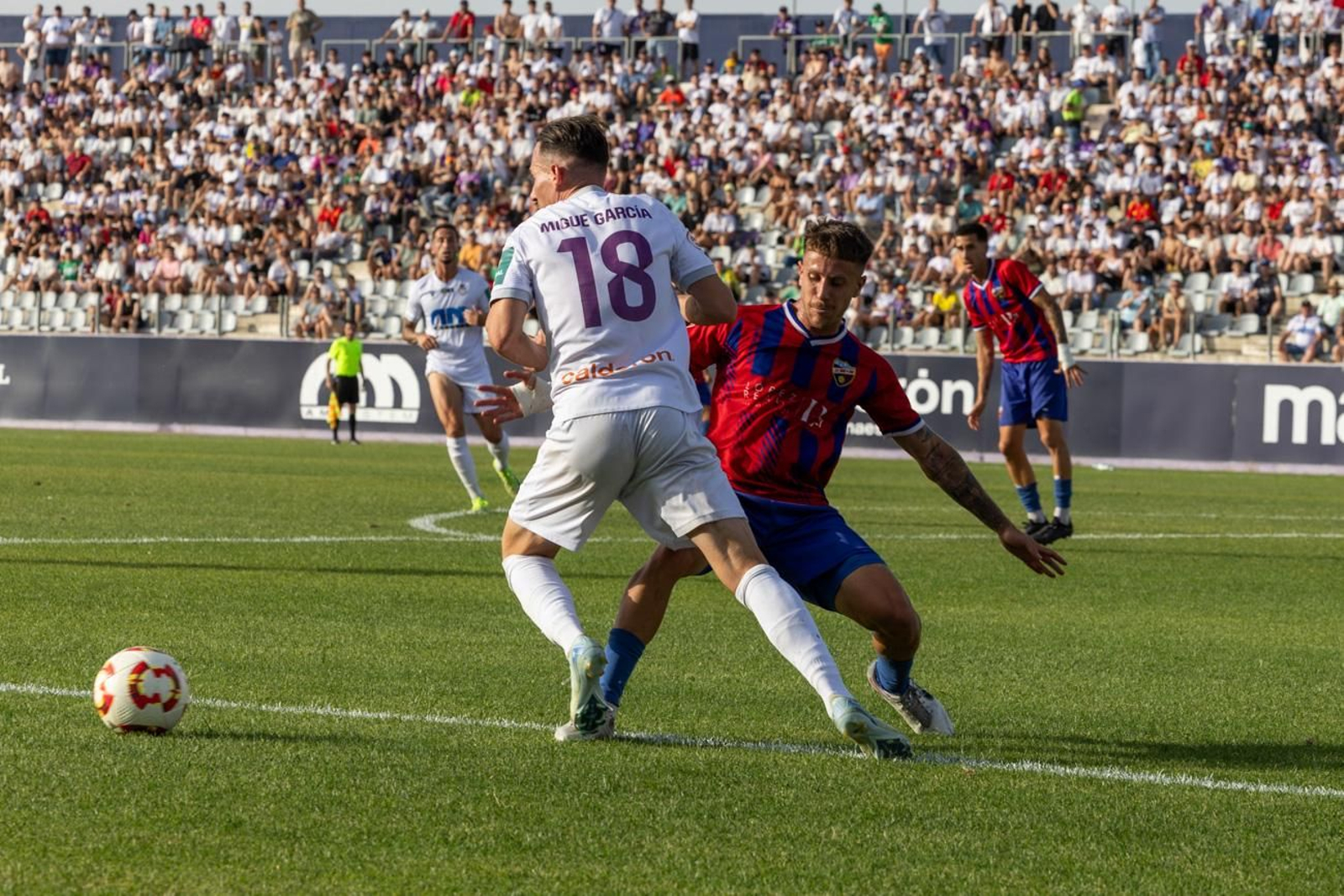 El triunfo del Real Jaén ante la UD Torre del Mar, en imágenes El triunfo del Real Jaén ante la UD Torre del Mar, en imágenes