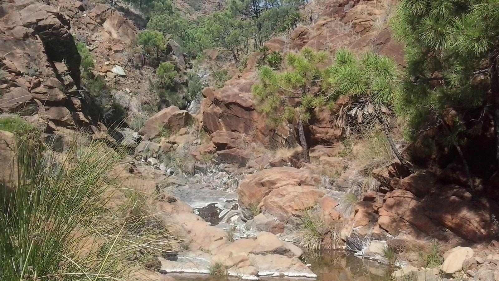 El agua y los barrancos serán una constante en la senda.