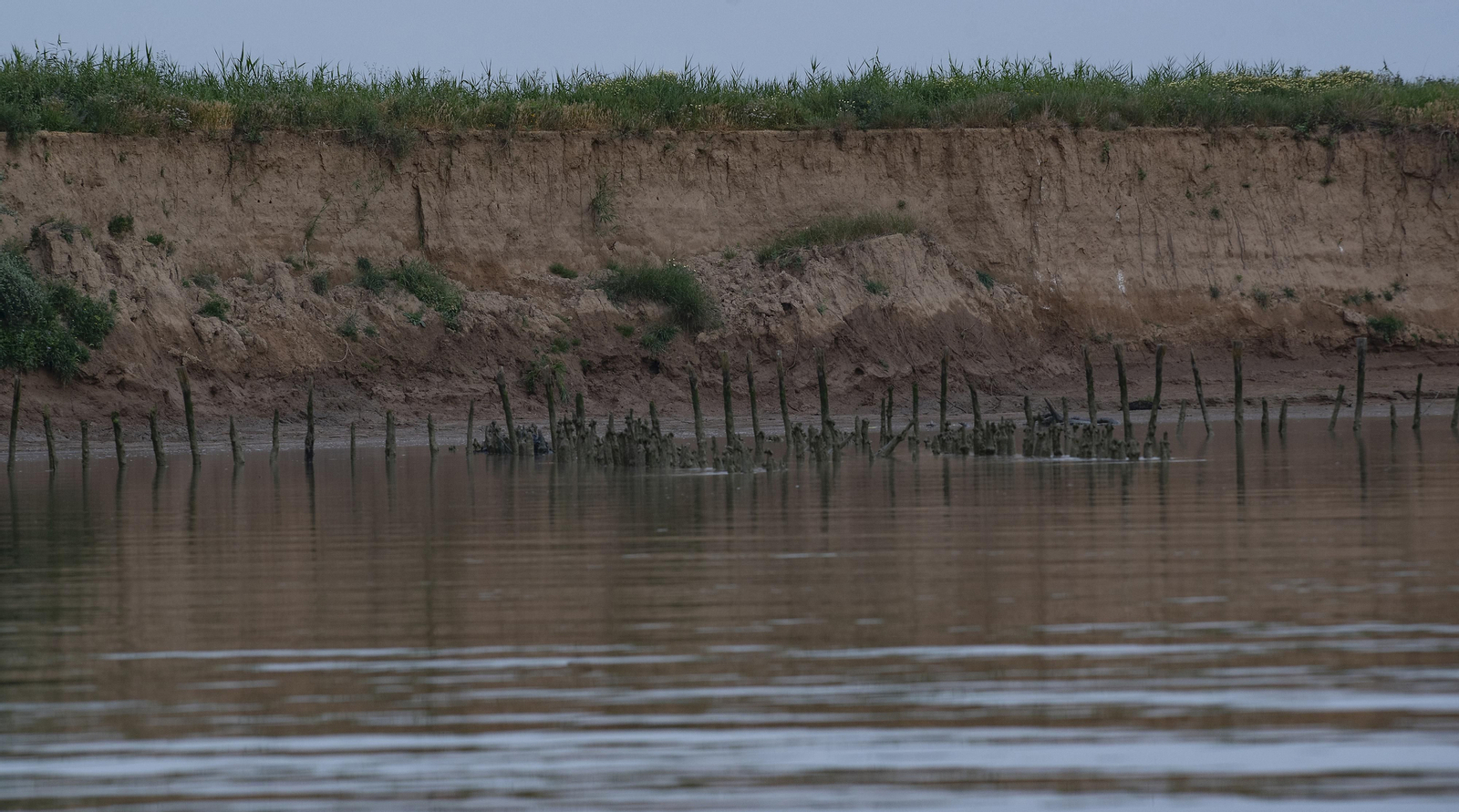 Travesía en barco por el Guadalquivir