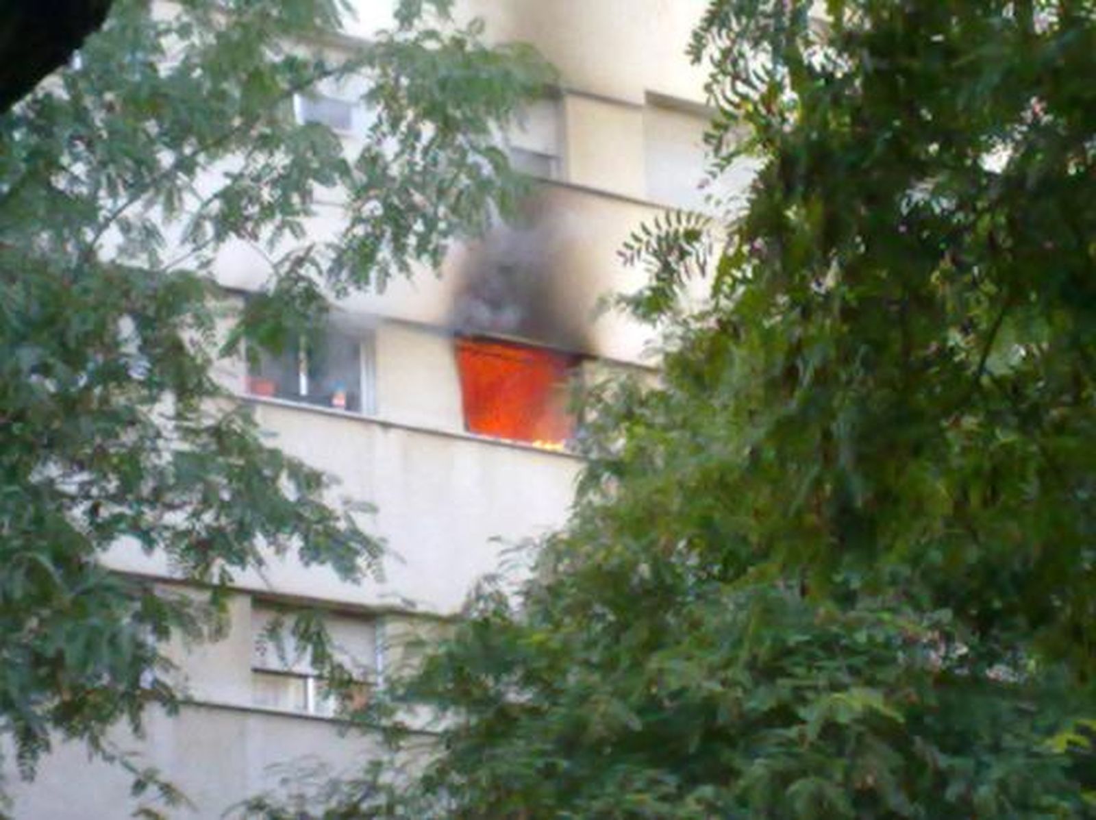 Foto: José Alfredo Tovar Cantos