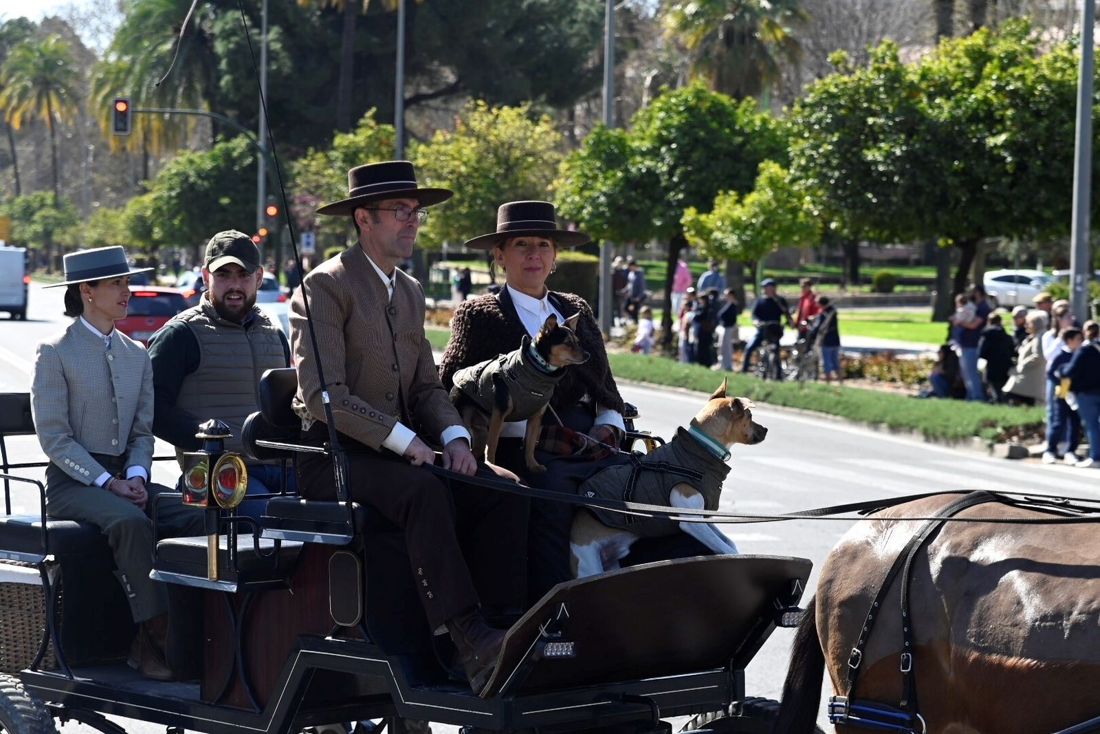 Las mejores fotografías la Marcha Hípica 'Córdoba a Caballo' por el 28F