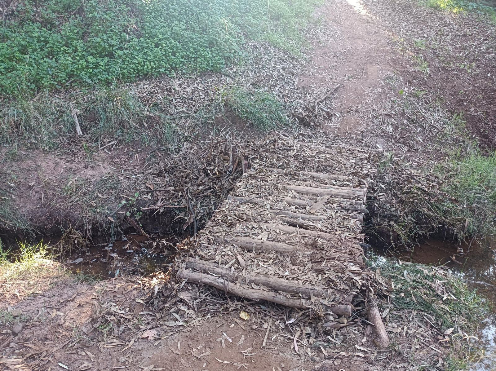 El puente de palos. El puente de palos.