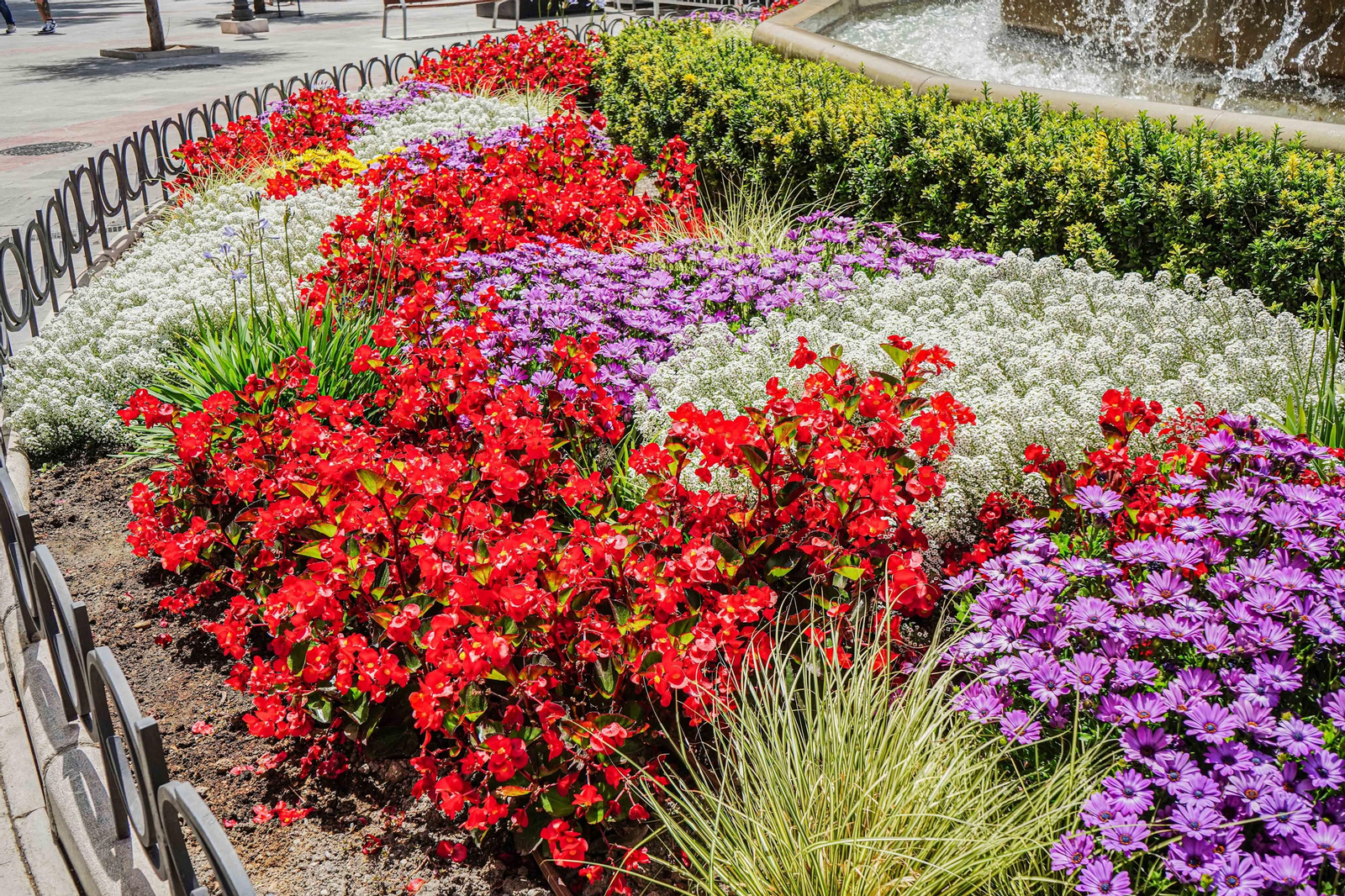 El espectáculo de Granada en primavera: las imágenes