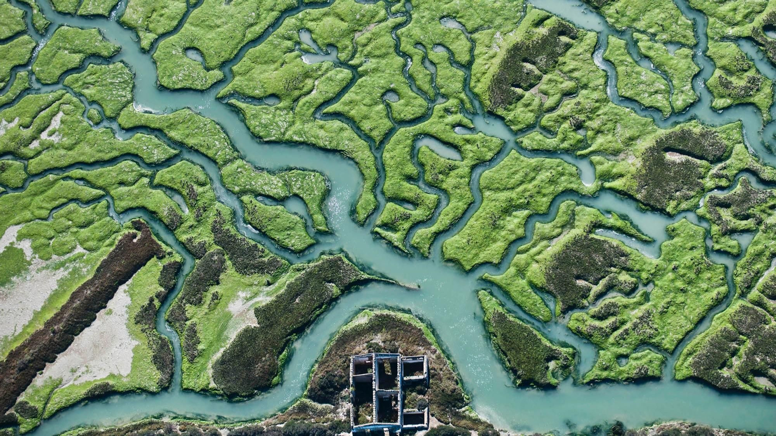 Marismas del Guadalquivir