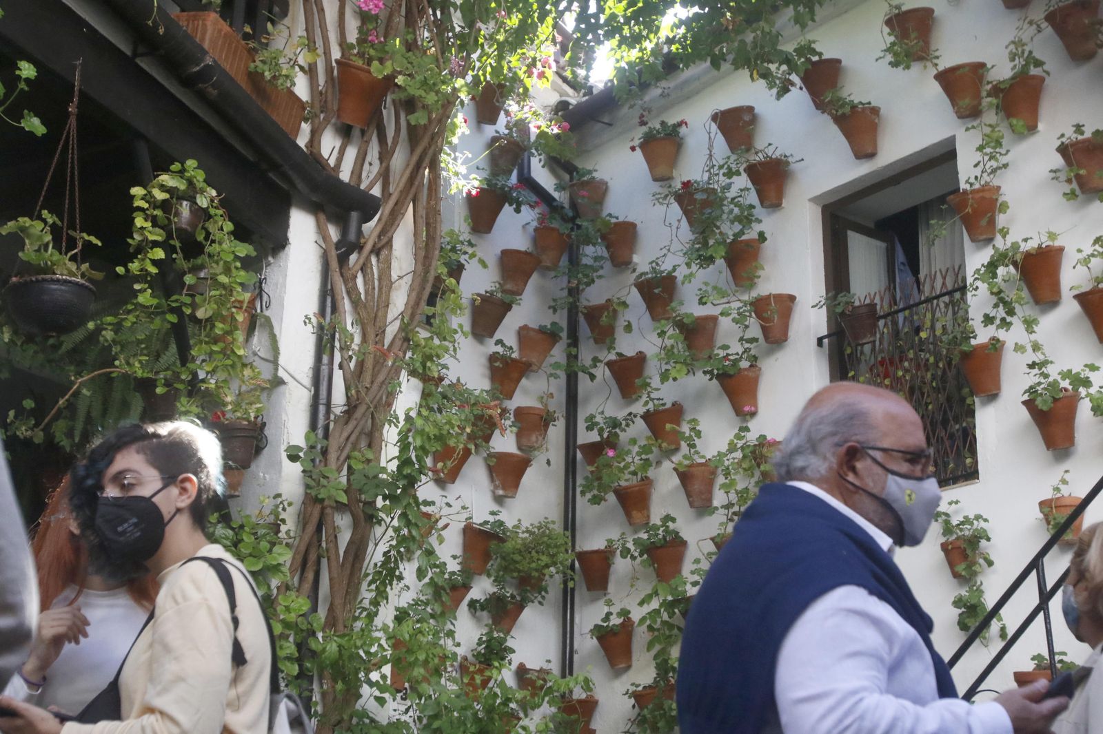 Los Patios en otoño, en fotografías