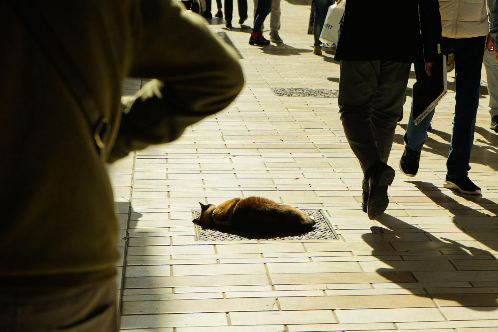 Imágenes del martes 8 de abril en Huelva