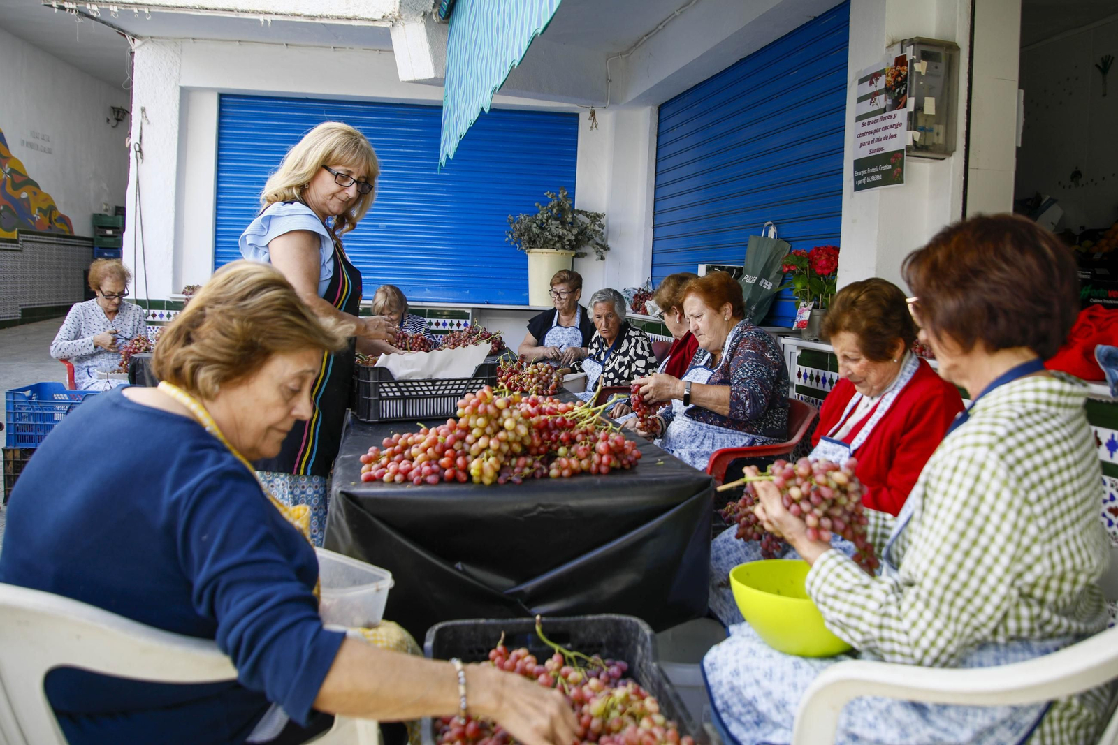 La tradicional faena de la uva de Canjayar, en imágenes