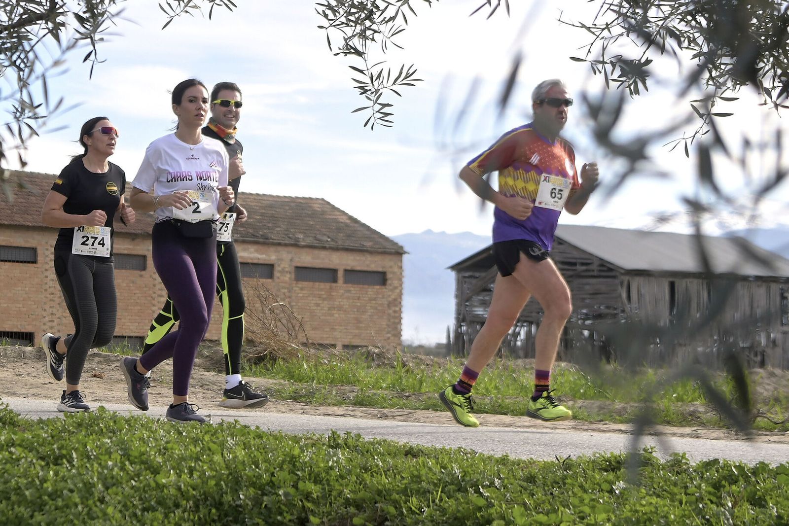 Las imágenes de la Carrera de la Ruta del Secadero de Cúllar Vega