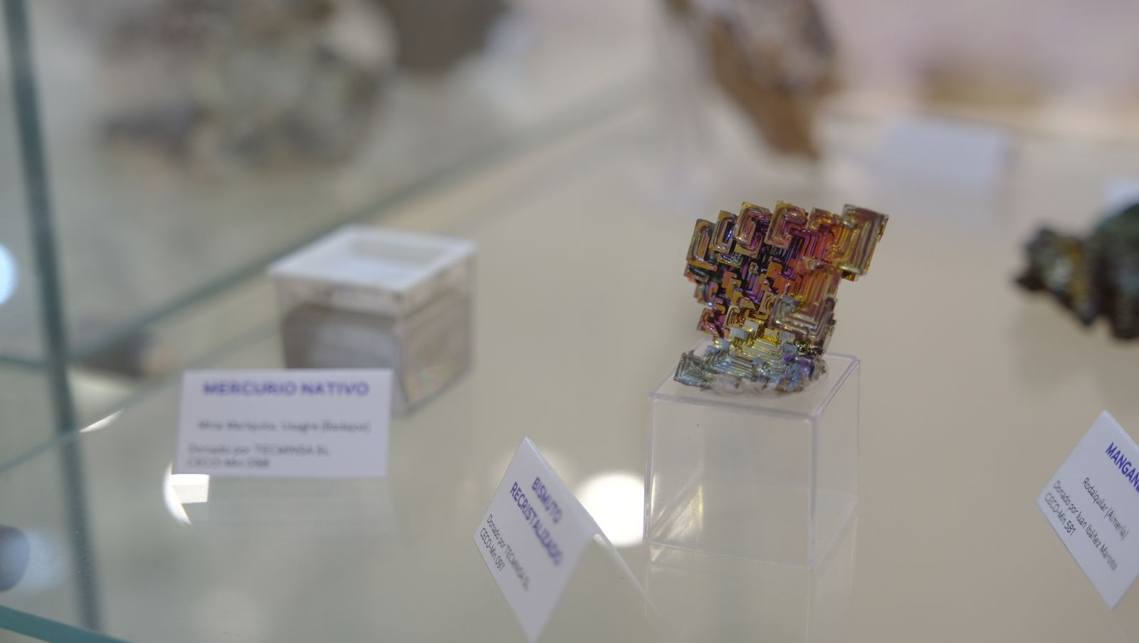 Las mejores imágenes del Pabellón de Historia Natural de la UAL