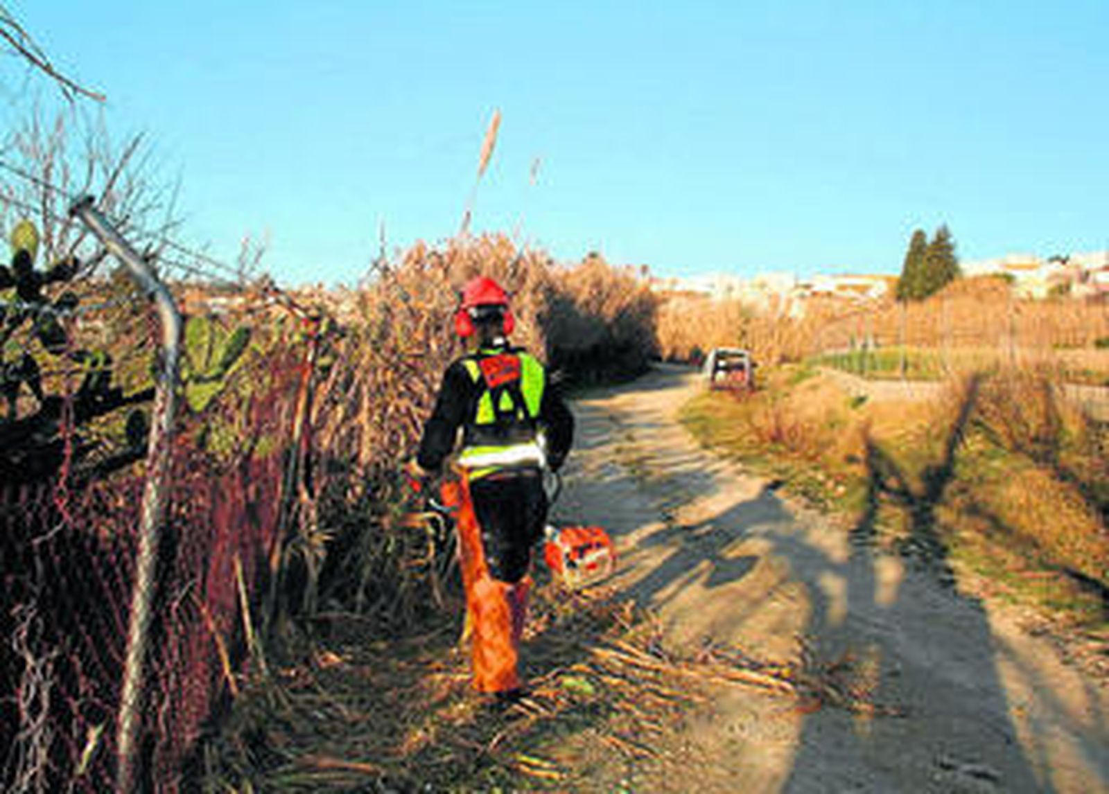 Un operario realiza el desbroce de uno de los caminos incluidos en este proyecto de la Junta de Andalucía.