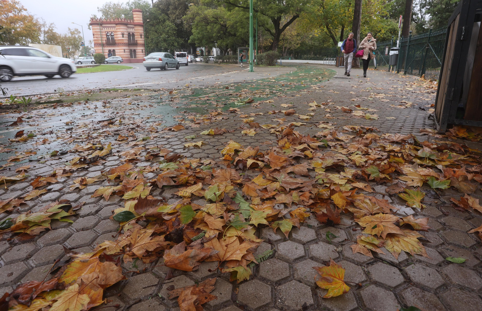 TEMPORAL. LLUVIA Y VIENTO