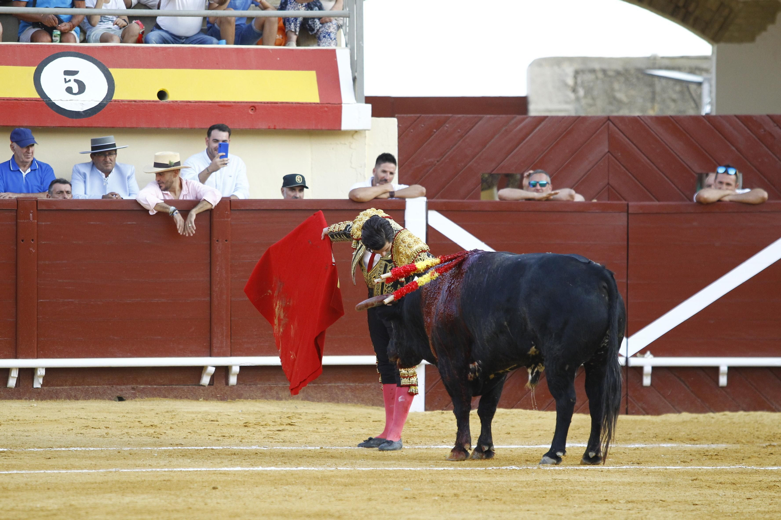 Imágenes de la corrida de toros de la Feria de Vera, con Morante de la Puebla, Emilio de Justo y Pablo Aguado