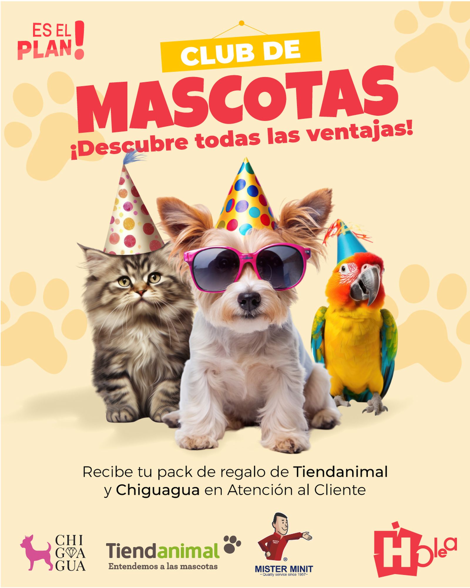 Cartel promocinoal de Club de Mascotas del Centro Comercial Holea.