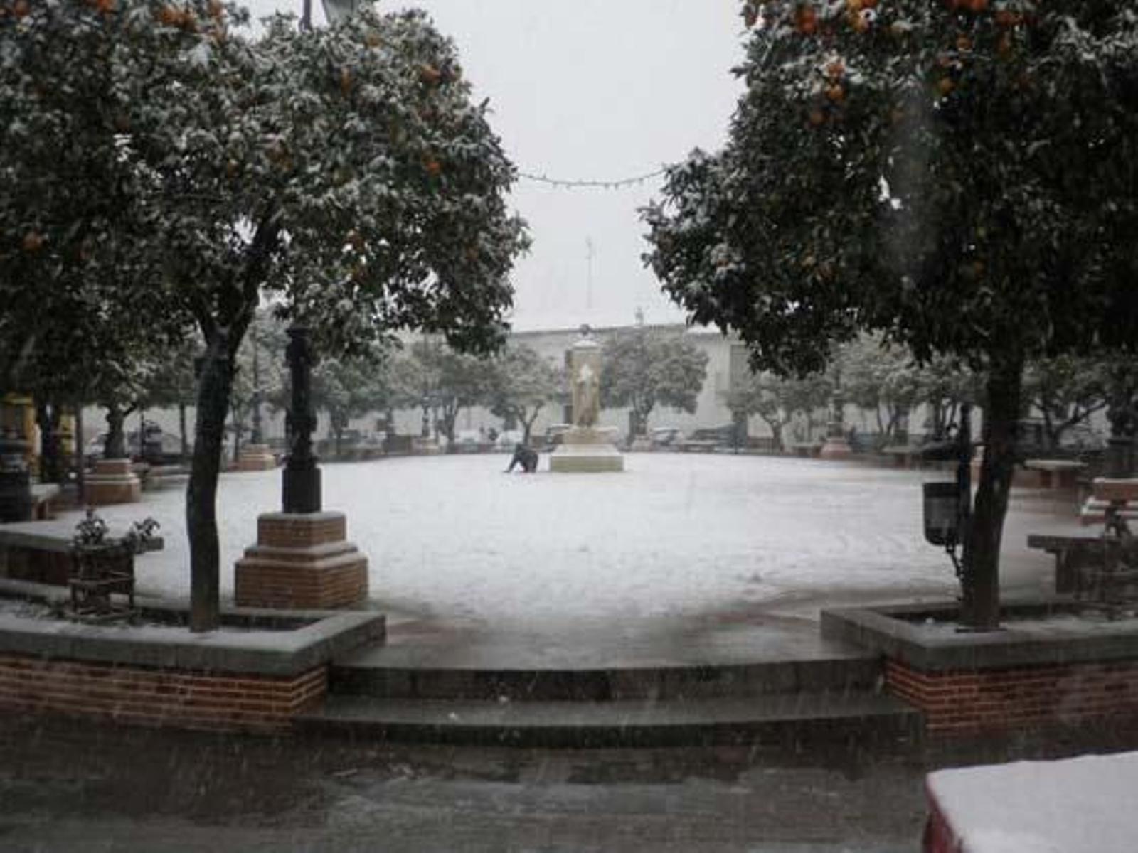 Nieve en Guadalcanal.

Foto: Francisco Javier Ortiz