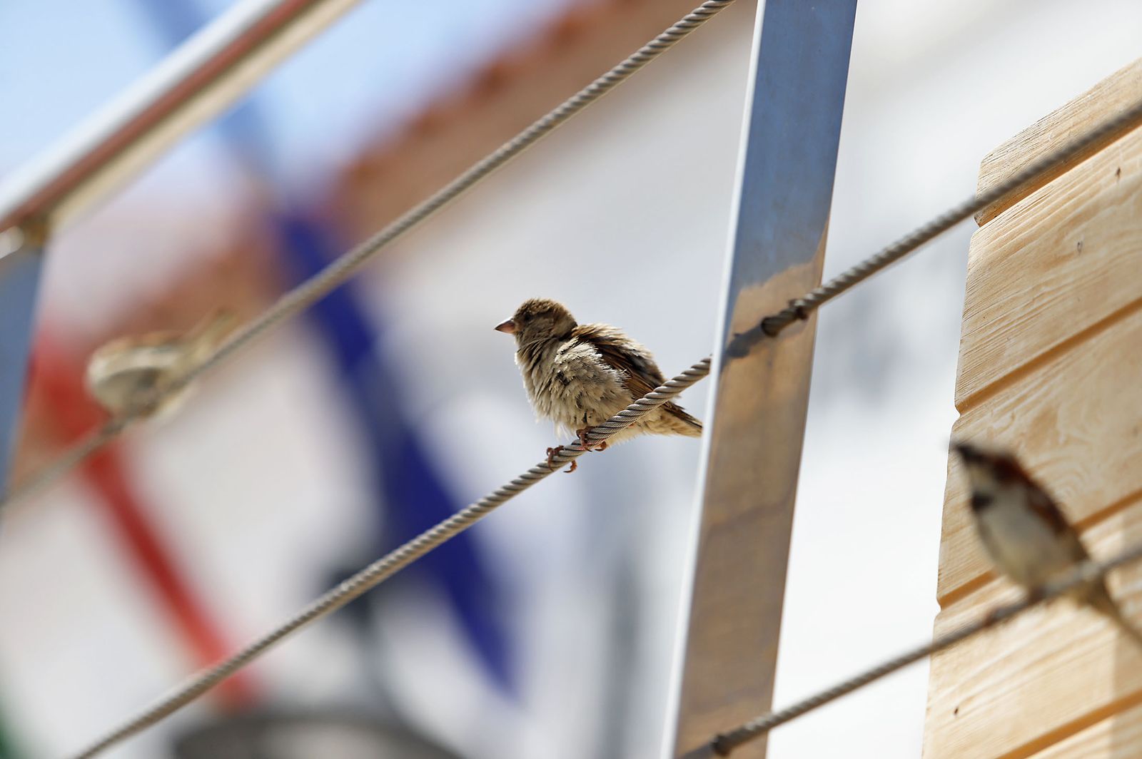 Las imágenes más destacadas del domingo 4 de junio en Huelva