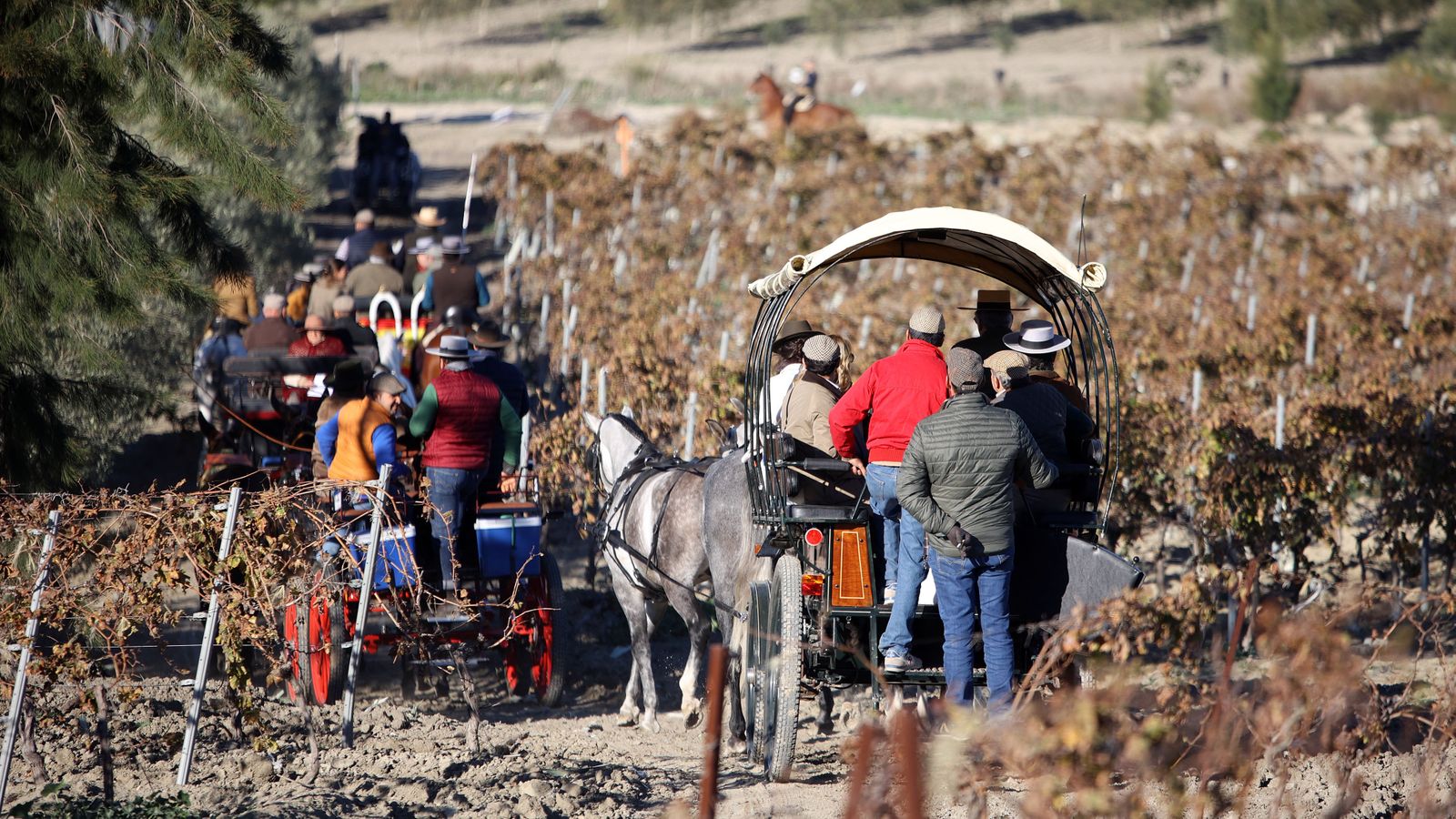 II Ruta Viñas de Jerez