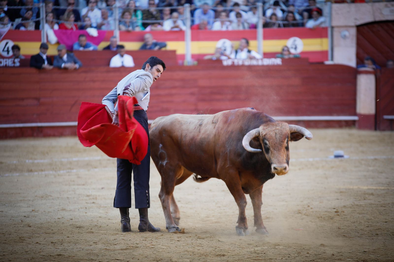 Imágenes del festival mixto lucha contra el cáncer