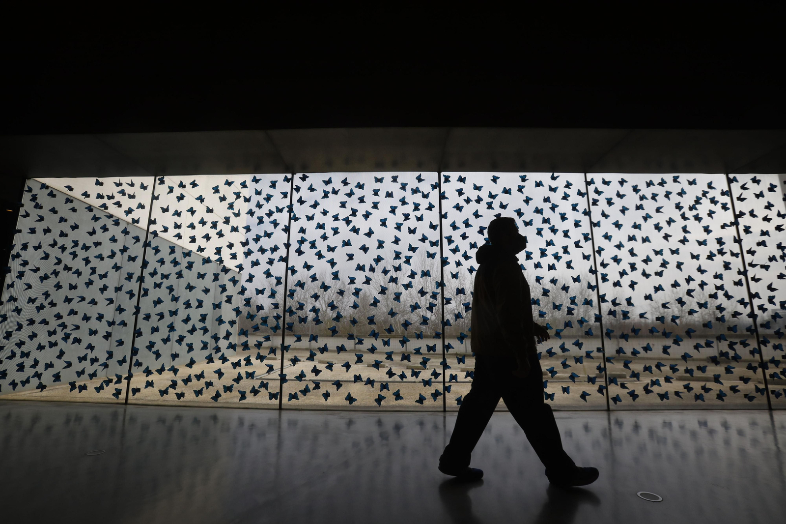 La exposición 'No todo es azar' donada al C3A de Córdoba, en fotos