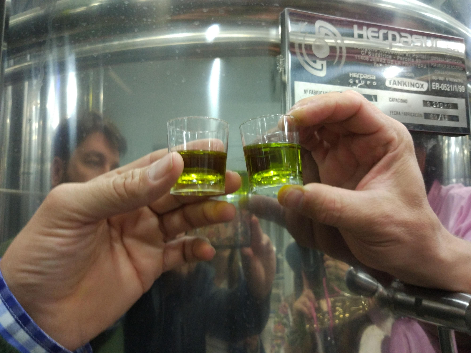 Un día de molturación en la almazara de Finca La Torre