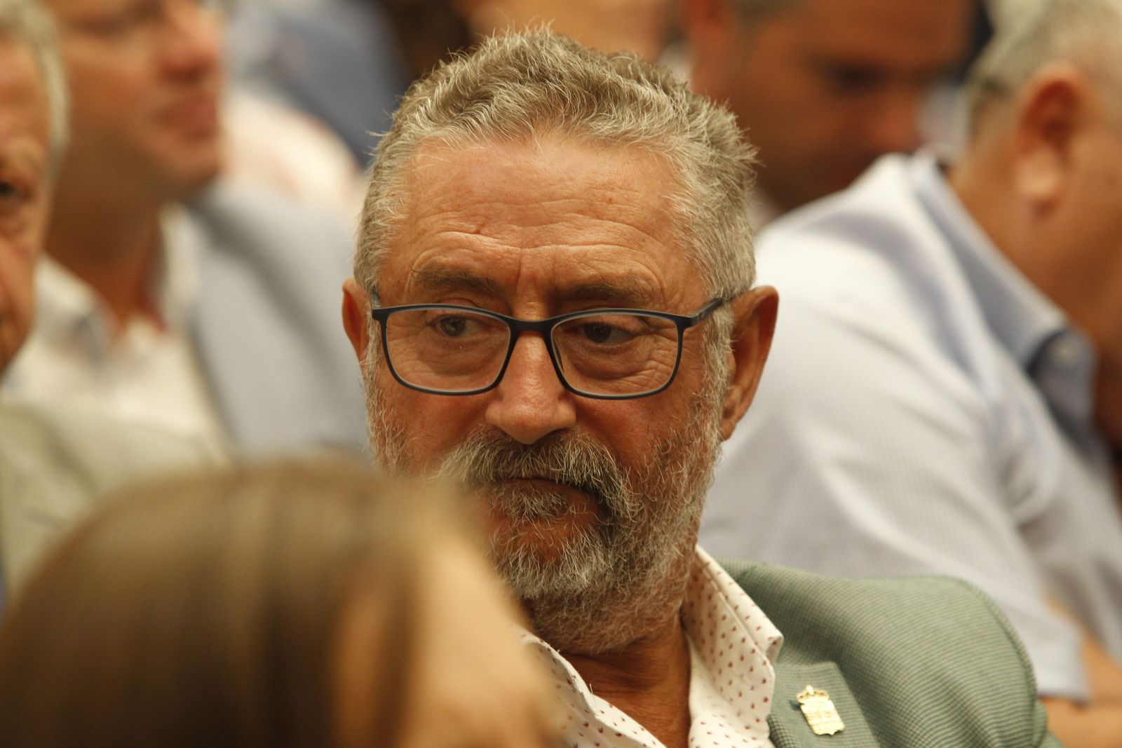 Pleno investidura Presidente Diputación de Almería. Javier Aureliano García