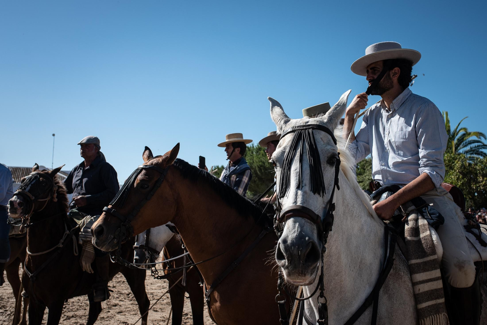 Imágenes de la Saca de las Yeguas a su paso por El Rocío
