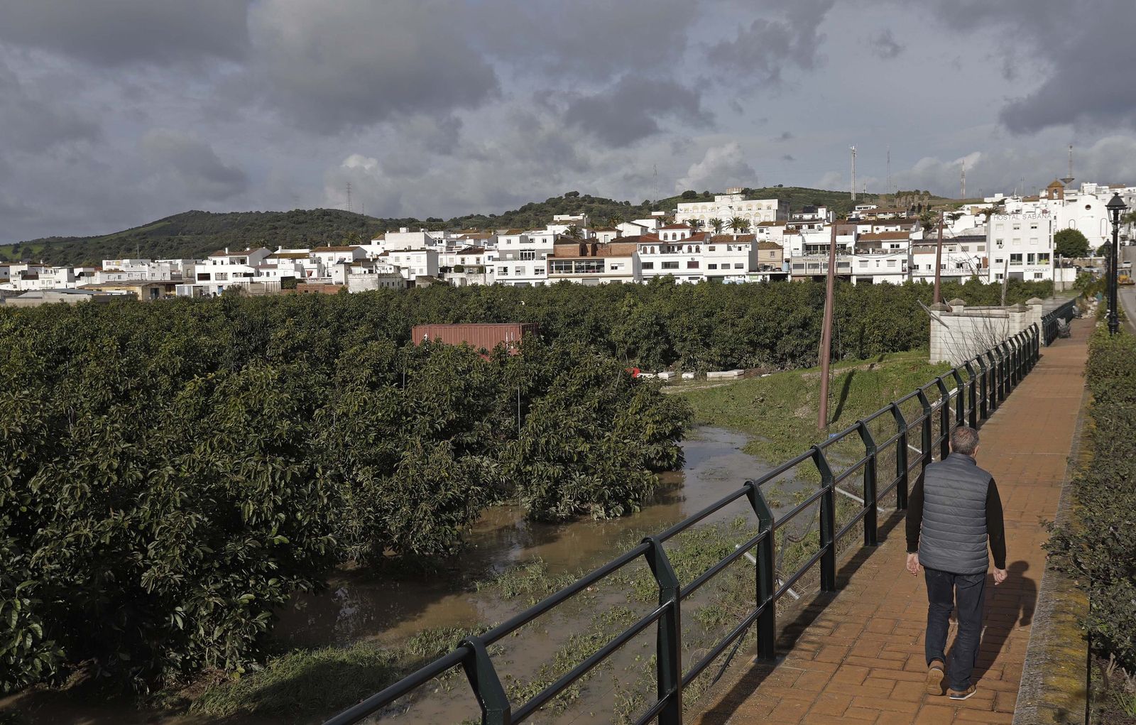 San Martín del Tesorillo después de la borrasca Marta, en imágenes