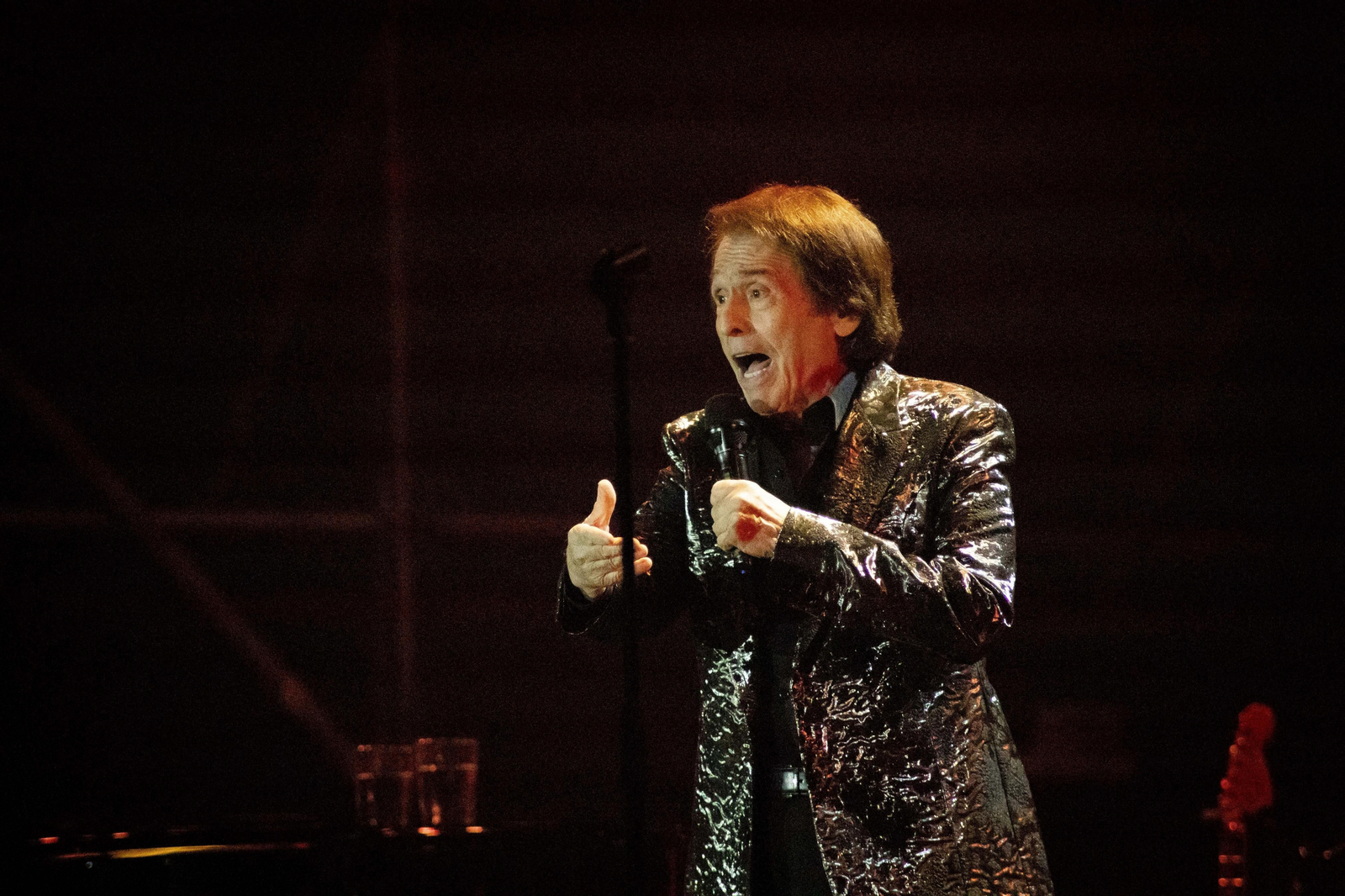 La gran noche de Jaén. Así fue el antes y después del regreso de Raphael a Jaén capital