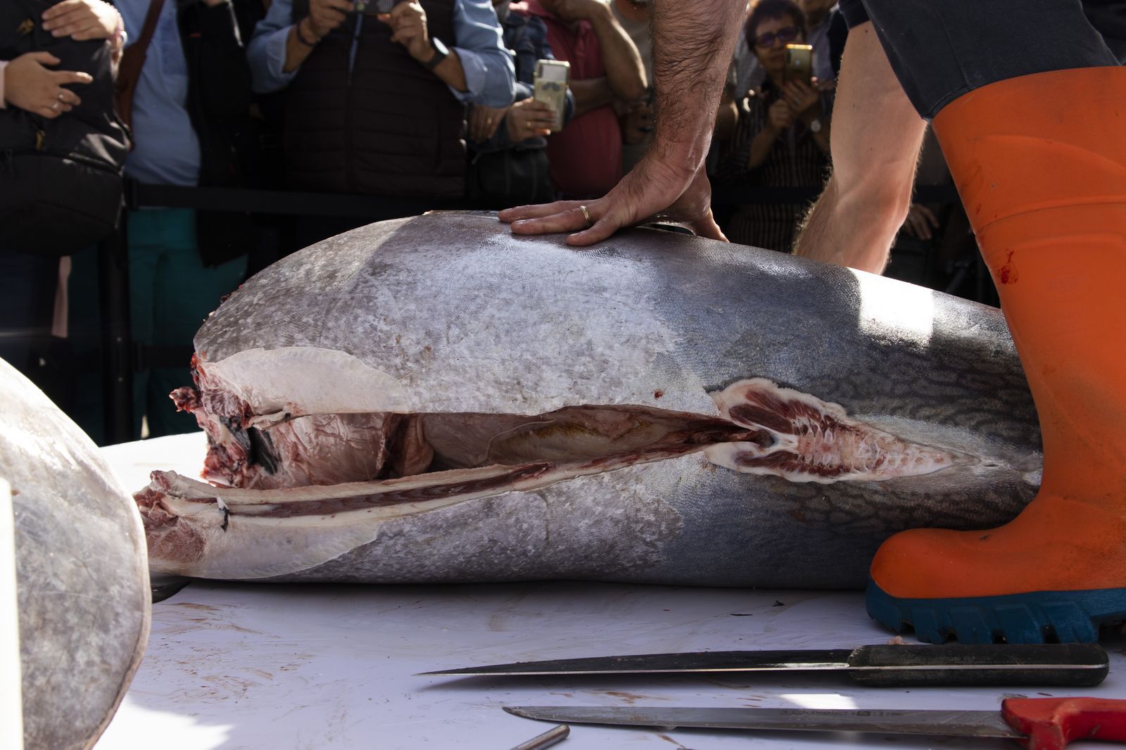 Muestra del Atún en Huelva