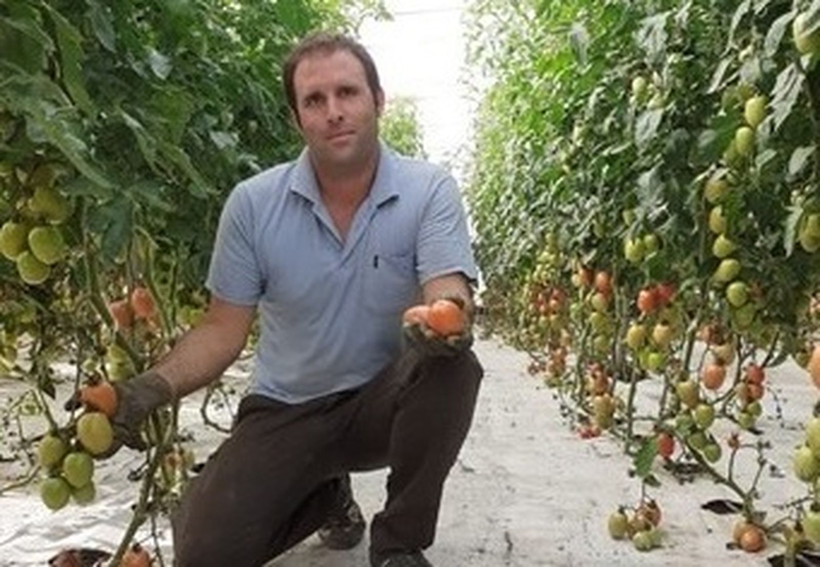 Un joven agricultor en su explotación.