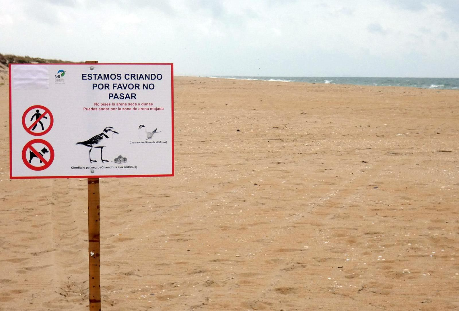 Cartel para la protección de aves en las playas leperas.